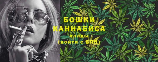 твердый Арсеньев