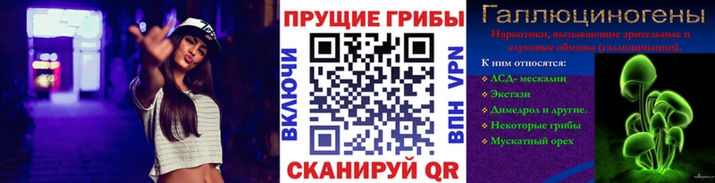 Псилоцибиновые грибы мицелий Высоковск